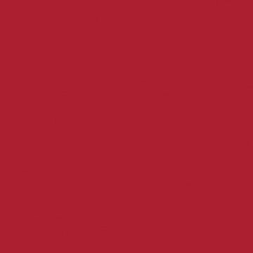 Professional Spray Paint - Cadmium Red Deep Hue