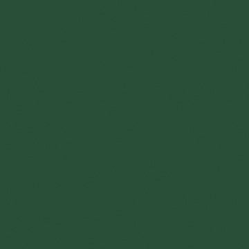 Professional Spray Paint - Hooker’s Green Hue Permanent